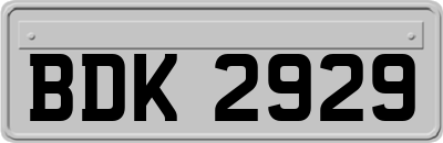 BDK2929