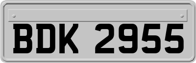 BDK2955