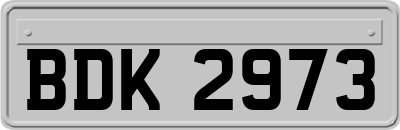 BDK2973