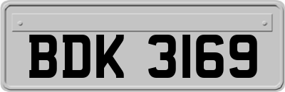 BDK3169