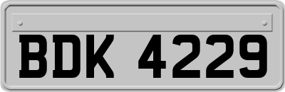 BDK4229