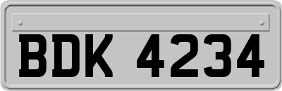 BDK4234