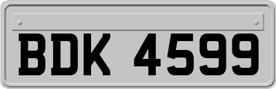 BDK4599