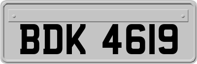 BDK4619