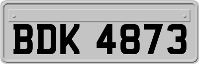 BDK4873