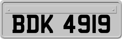 BDK4919