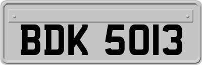 BDK5013