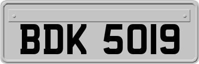BDK5019