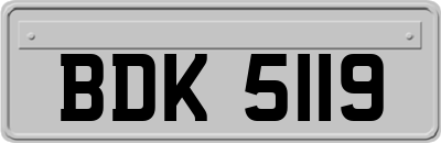 BDK5119