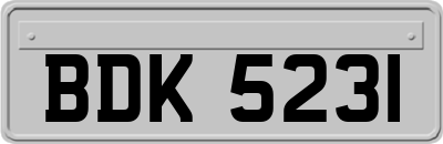 BDK5231