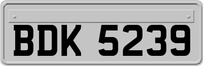 BDK5239