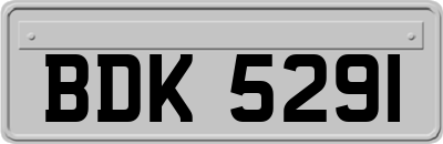 BDK5291