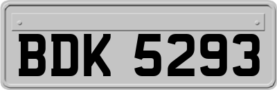 BDK5293