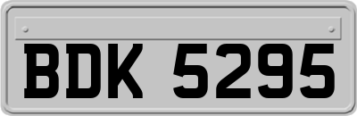 BDK5295