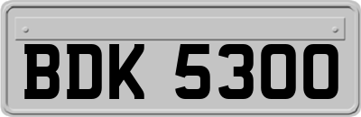 BDK5300