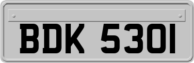 BDK5301