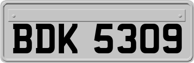 BDK5309