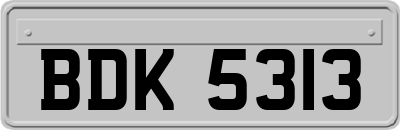 BDK5313