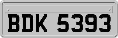 BDK5393