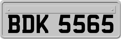 BDK5565