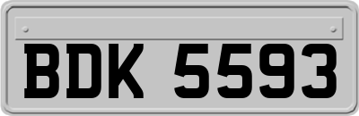 BDK5593