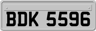 BDK5596