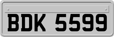 BDK5599