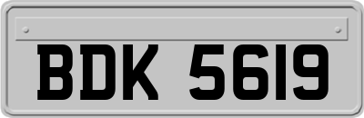 BDK5619
