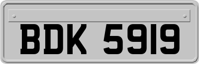 BDK5919