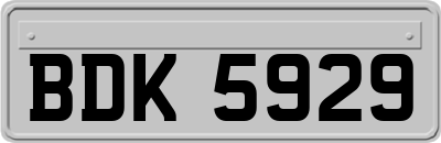 BDK5929