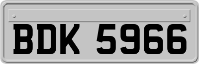 BDK5966