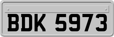 BDK5973