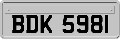 BDK5981