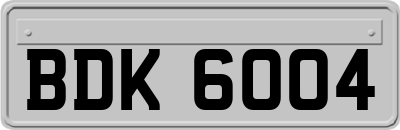 BDK6004