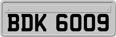 BDK6009