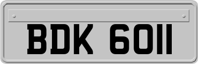 BDK6011