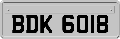 BDK6018