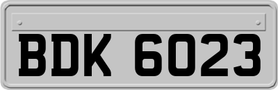 BDK6023