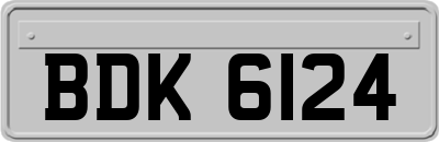 BDK6124