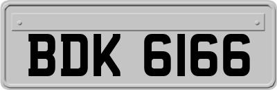 BDK6166