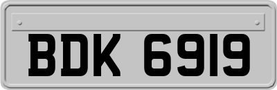 BDK6919