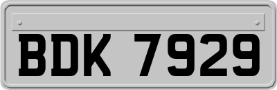 BDK7929
