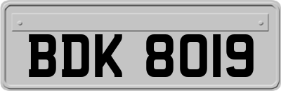 BDK8019