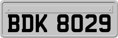 BDK8029