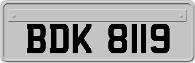 BDK8119