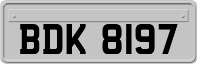 BDK8197