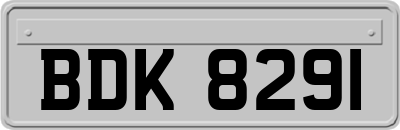BDK8291