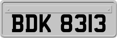 BDK8313