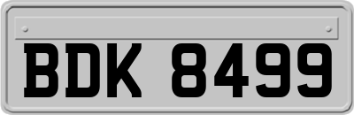BDK8499