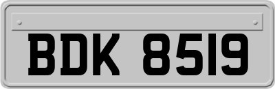 BDK8519
